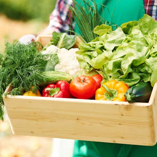 Understanding the Essence of Buying Organic Food