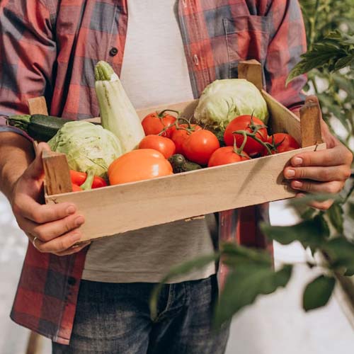 Buying Organic Food: Making Conscious Choices for a Healthier Lifestyle