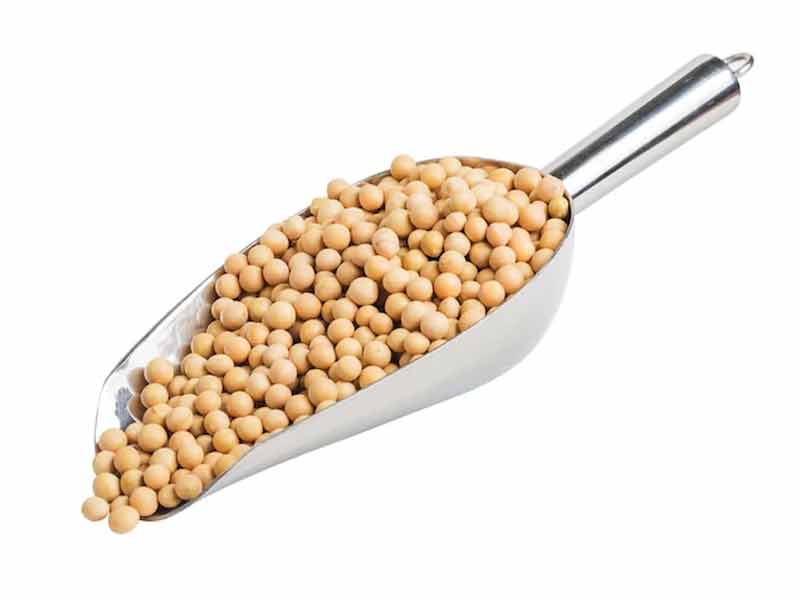 Benefits and properties of natto