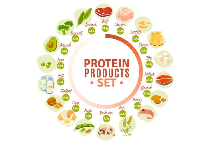 Food with protein from vegetarian or vegan diet