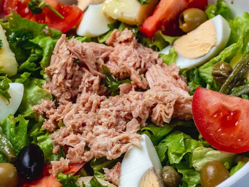Best Tuna salad