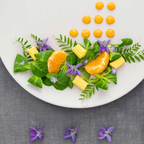 Creative edible flower dishes offer an exciting fusion of art