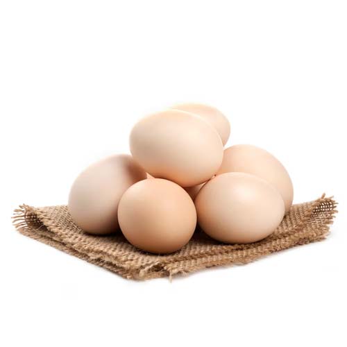 Eggs one of the Top 10 Foods for Weight Loss Success