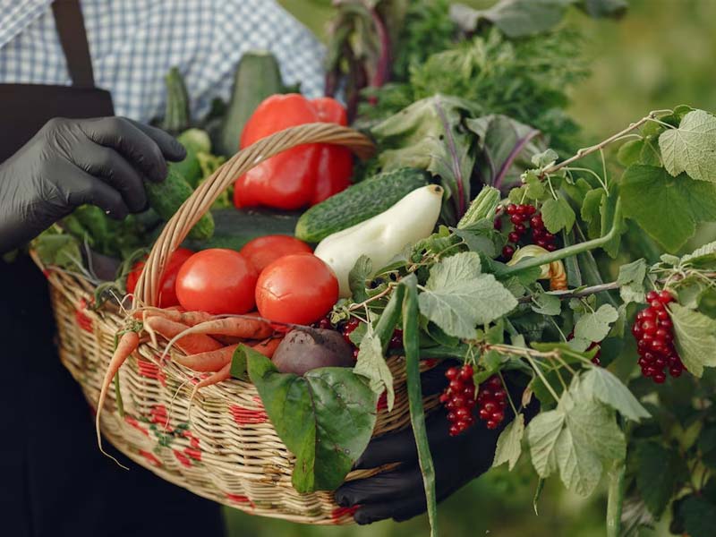 Heirloom Vegetable Garden Tips: Nurturing Legacy Seeds for Bountiful Delights