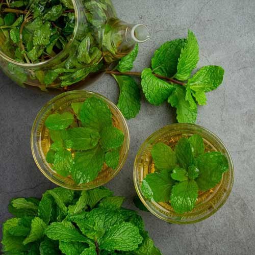 DIY Herb-Infused Simple Syrup Recipes