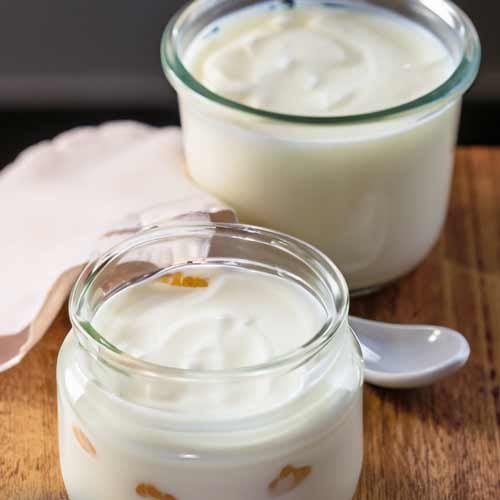 Facts About Cultured Yogurt