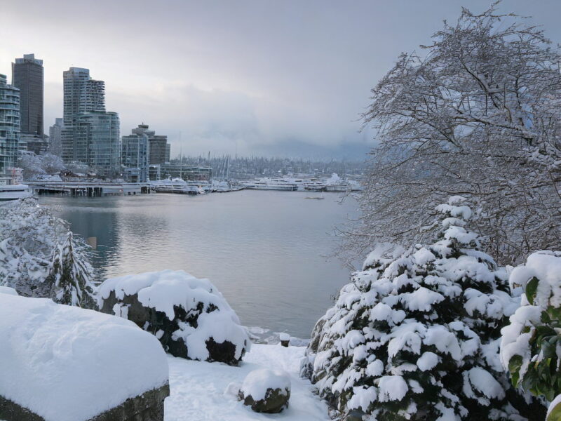 Experience Vancouver's Snowy Splendor: A Winter Wonderland Awaits