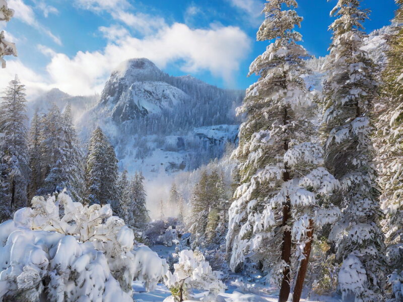 Experience the Magic of USA's Winter Wonderland: A Snowy Adventure