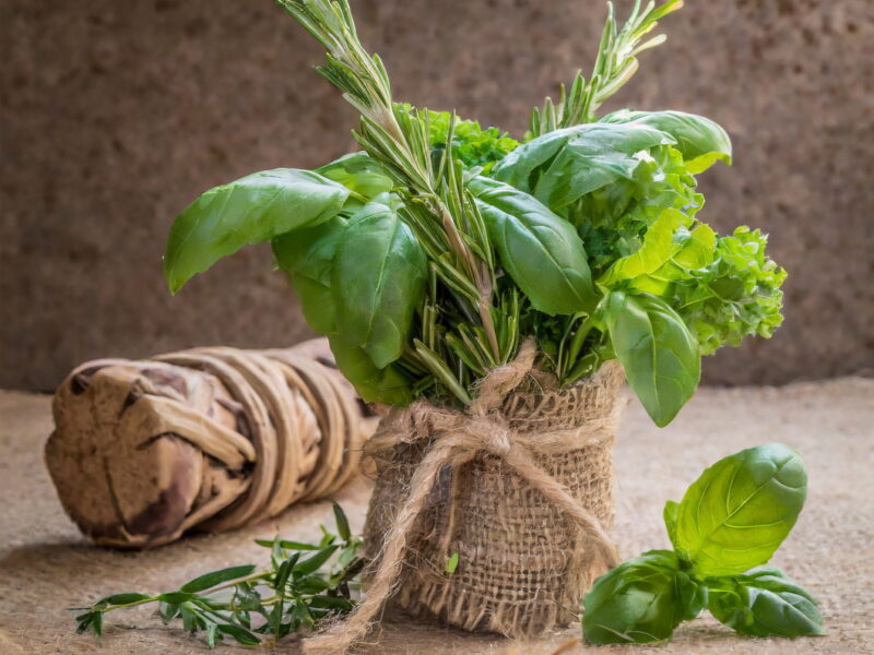 The Essential Role of Fresh Herbs Culinary They Play in Our Health
